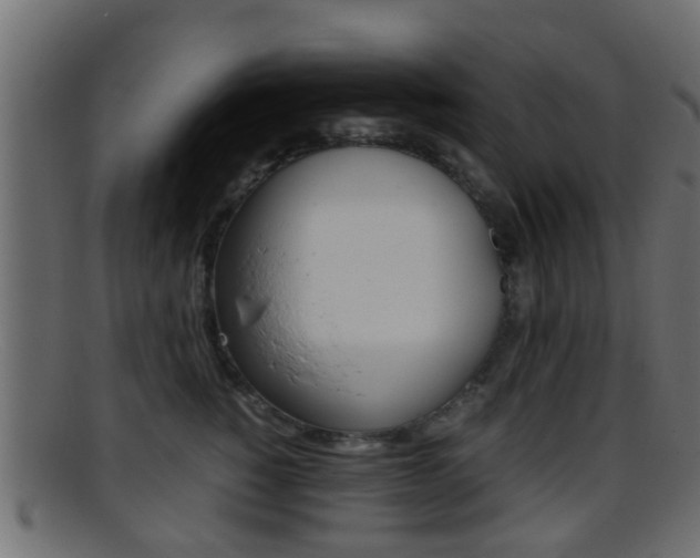 X0000095690760200801081038