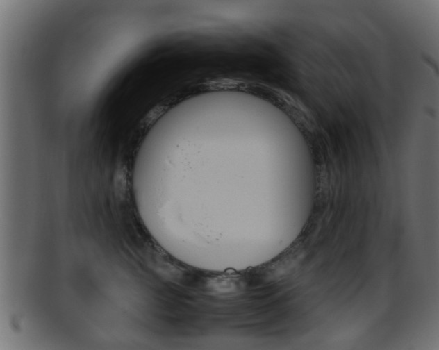 X0000095690761200801081038