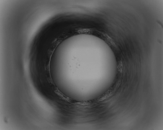 X0000095690763200801081038