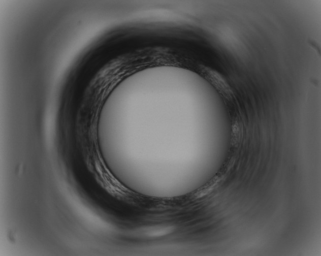 X0000095690765200801081039