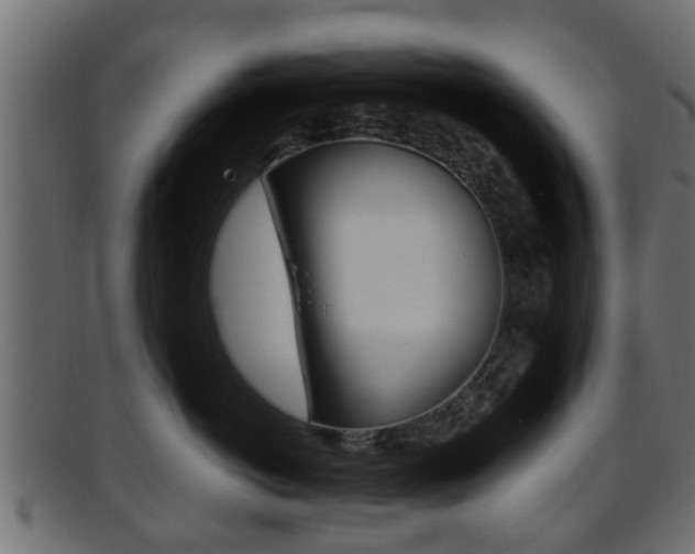 X0000095690766200801081039