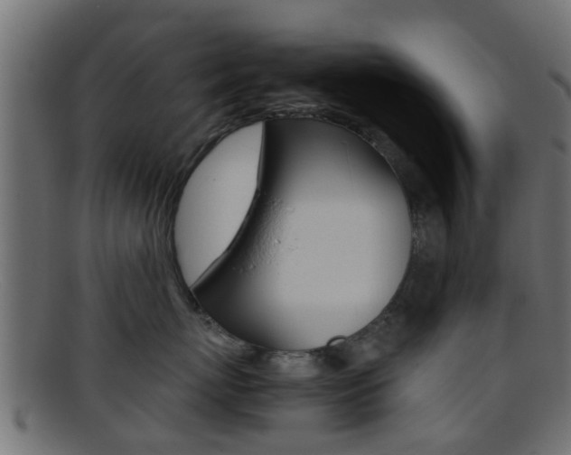 X0000095690767200801081039
