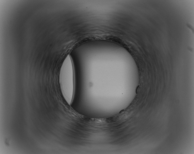 X0000095690768200801081039