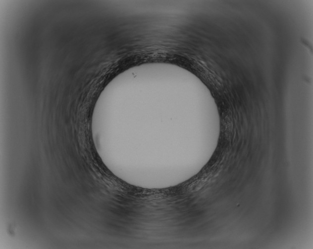 X0000095690769200801081038
