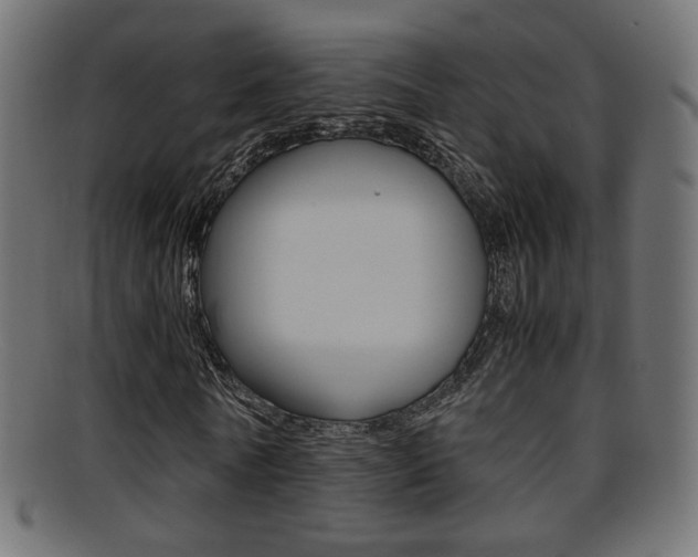 X0000095690770200801081038