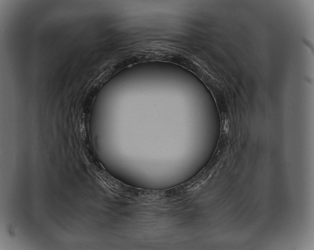 X0000095690771200801081038