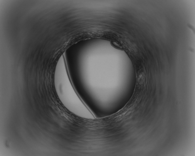 X0000095690772200801081038