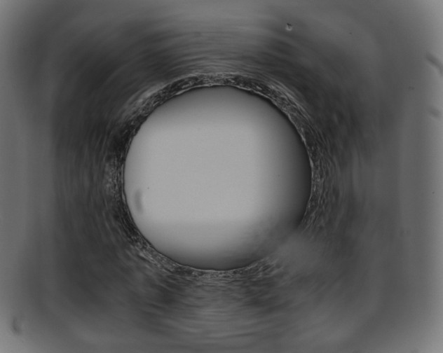 X0000095690773200801081038
