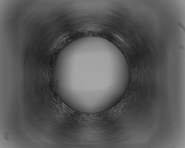 X0000095690774200801081038
