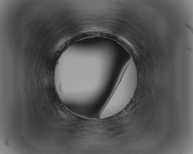 X0000095690775200801081038