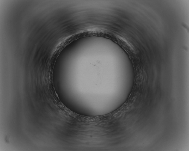 X0000095690776200801081038
