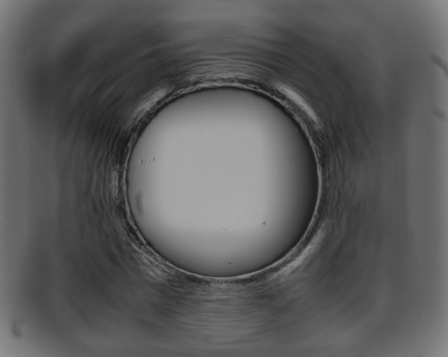 X0000095690777200801081038