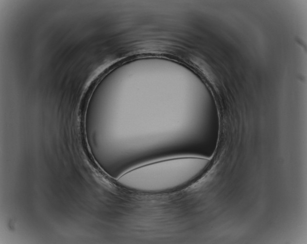 X0000095690779200801081038