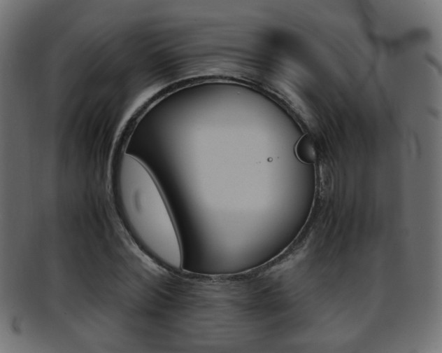 X0000095690780200801081038