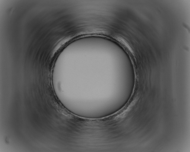 X0000095690781200801081038