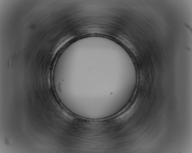 X0000095690782200801081038
