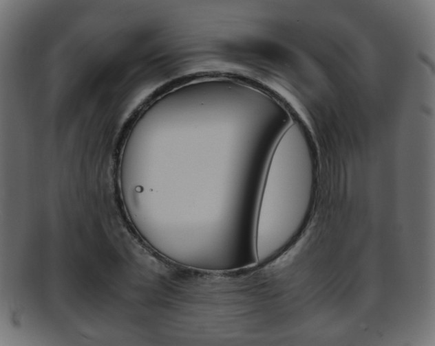 X0000095690783200801081038
