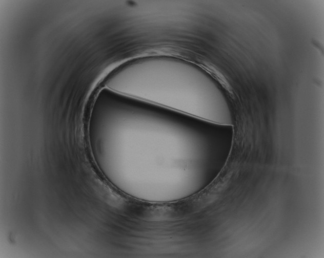 X0000095690784200801081038