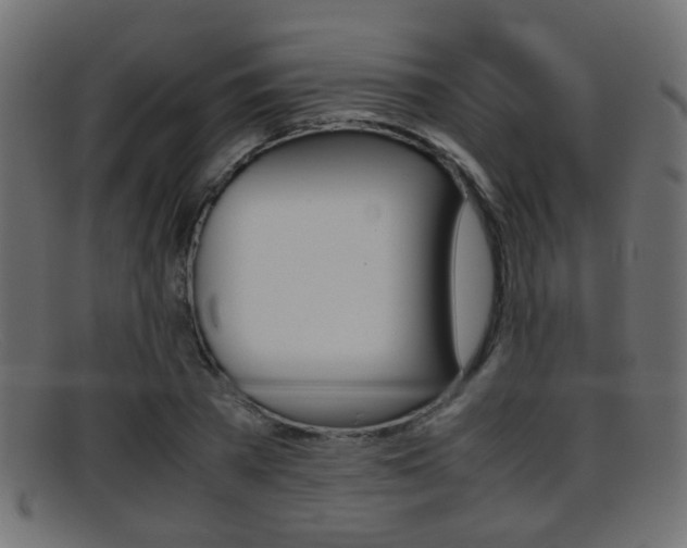 X0000095690785200801081038