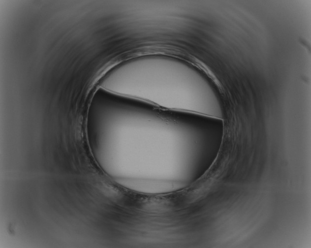 X0000095690786200801081038