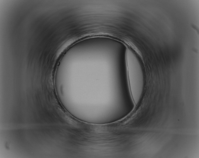 X0000095690789200801081038