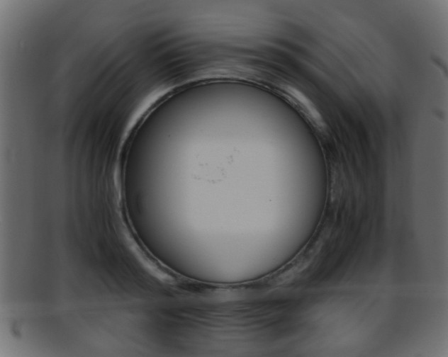 X0000095690796200801081038