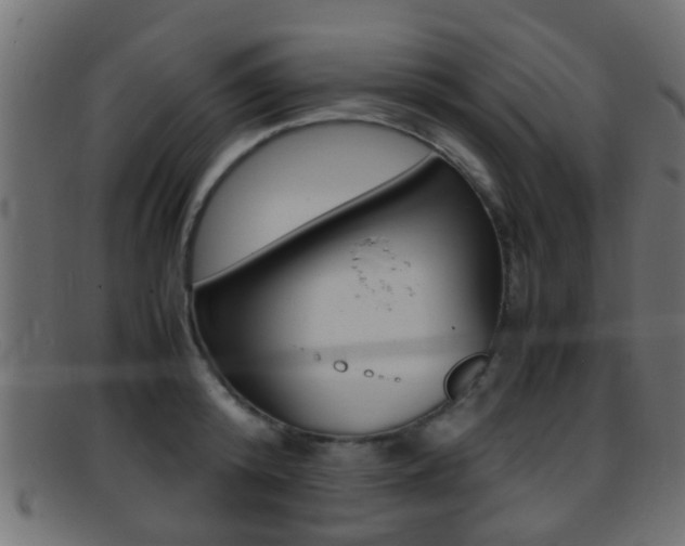X0000095690800200801081037