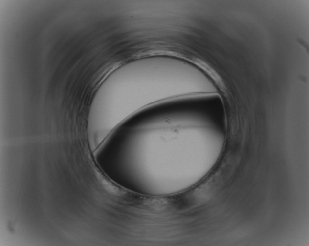 X0000095690801200801081037