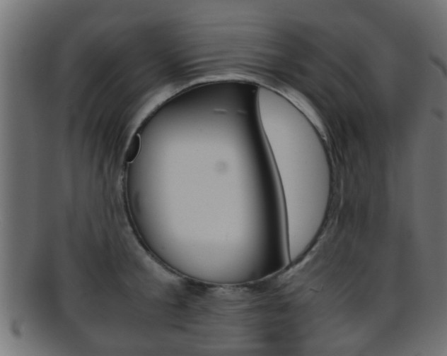 X0000095690805200801081037