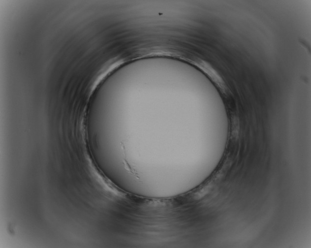 X0000095690806200801081037