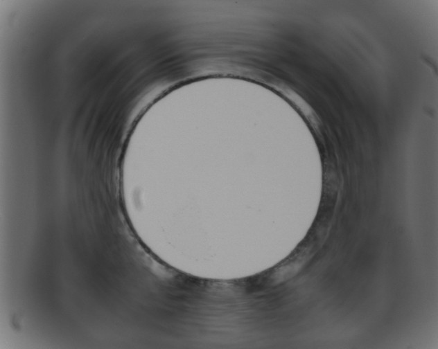 X0000095690807200801081037