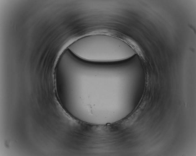X0000095690808200801081037