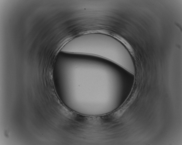 X0000095690809200801081037
