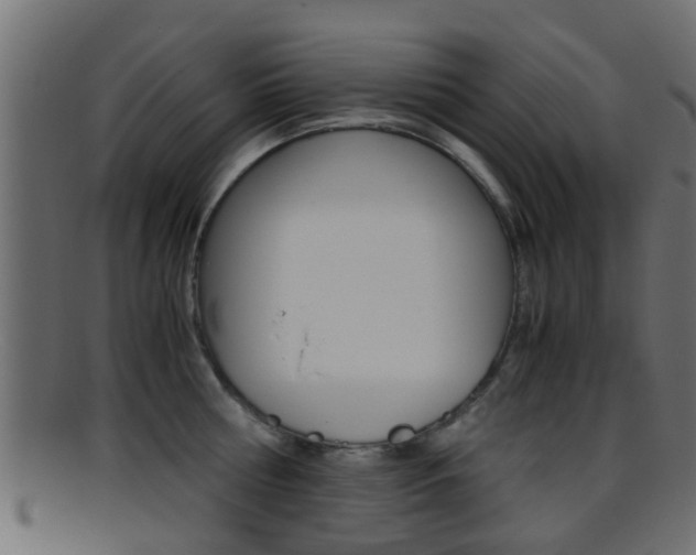 X0000095690810200801081037