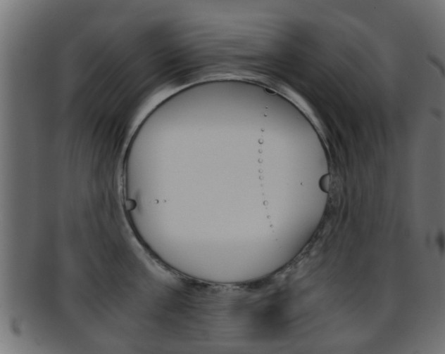 X0000095690811200801081037
