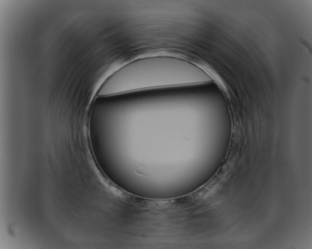 X0000095690813200801081037