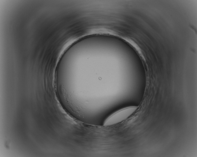 X0000095690815200801081037