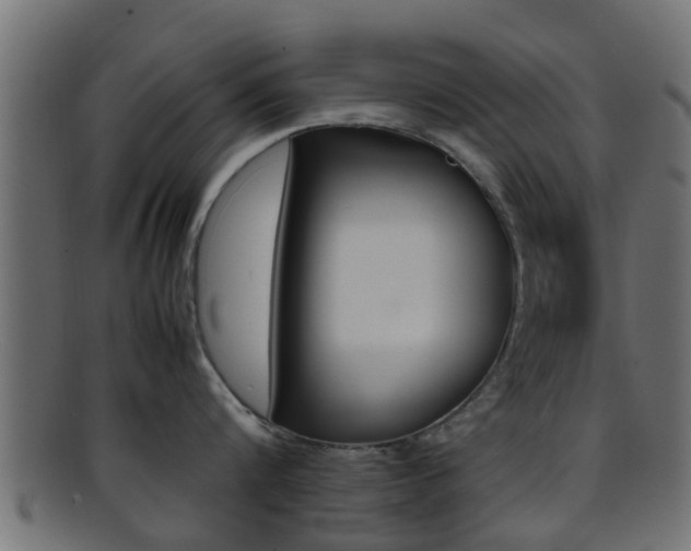 X0000095690816200801081037