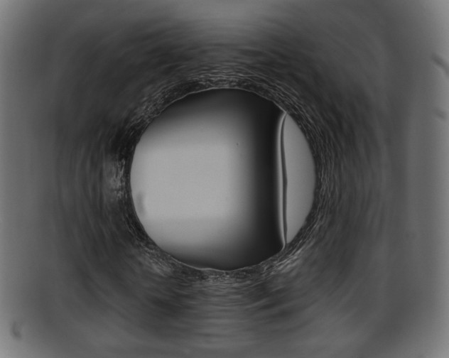 X0000095690818200801081037