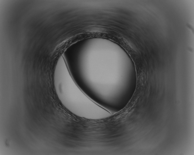X0000095690821200801081037