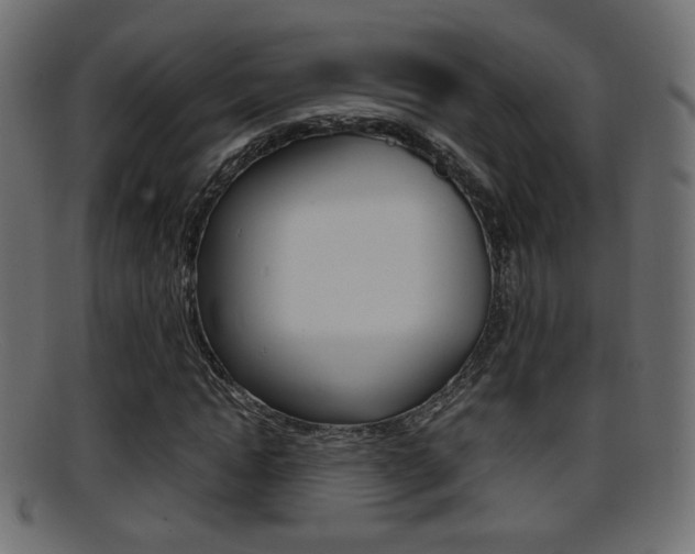 X0000095690822200801081037