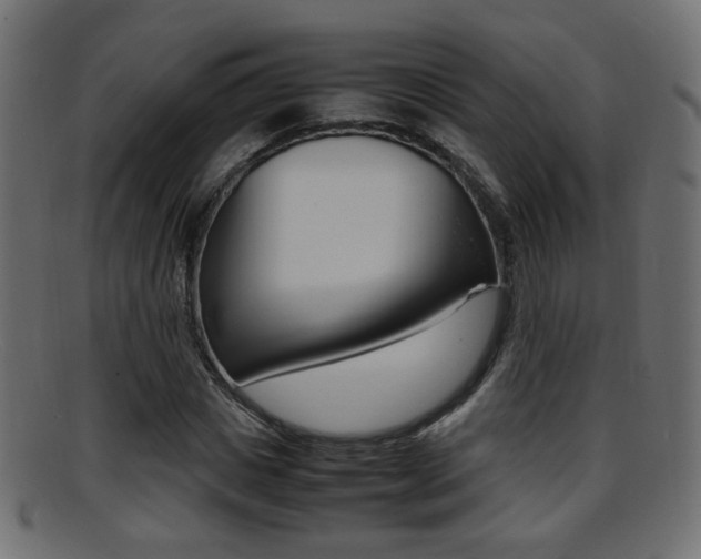 X0000095690825200801081037