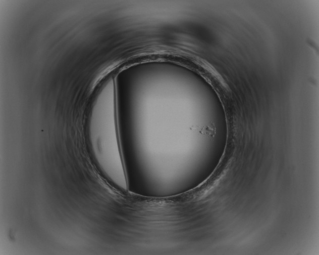 X0000095690826200801081037