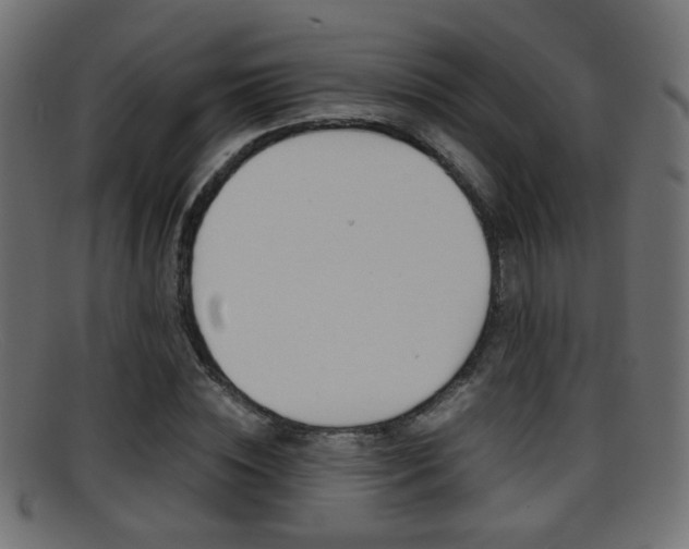 X0000095690828200801081037