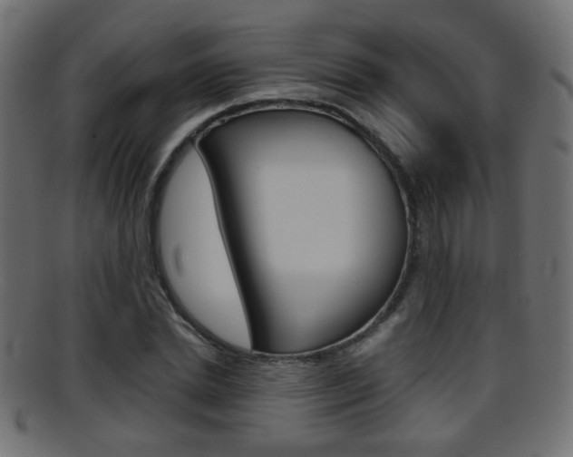 X0000095690830200801081037
