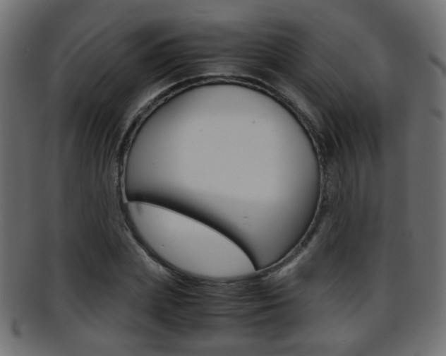 X0000095690831200801081037