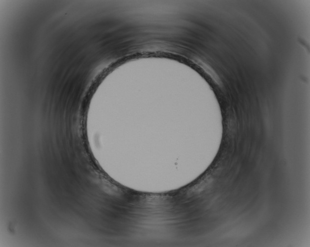X0000095690832200801081037
