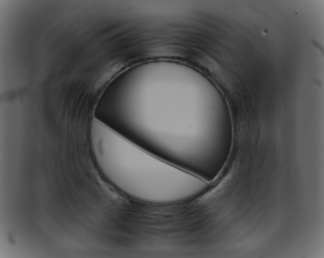 X0000095690833200801081037