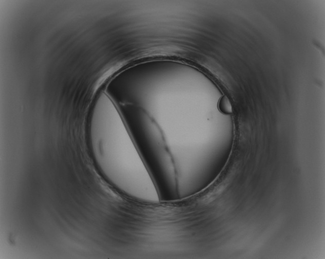 X0000095690834200801081037