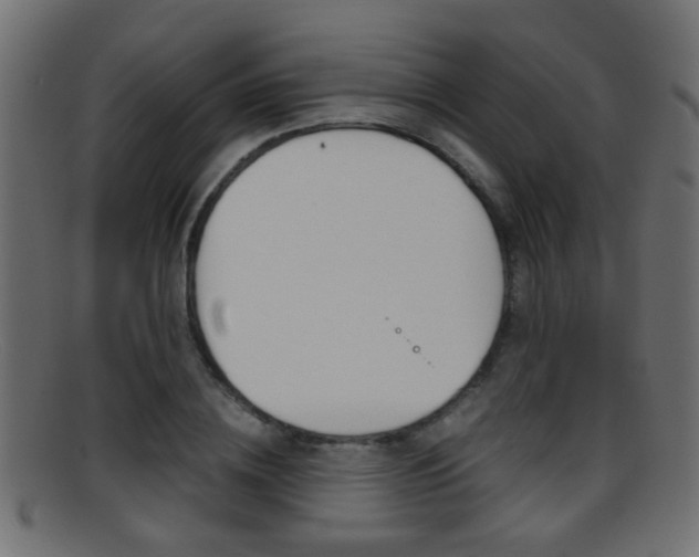 X0000095690836200801081037